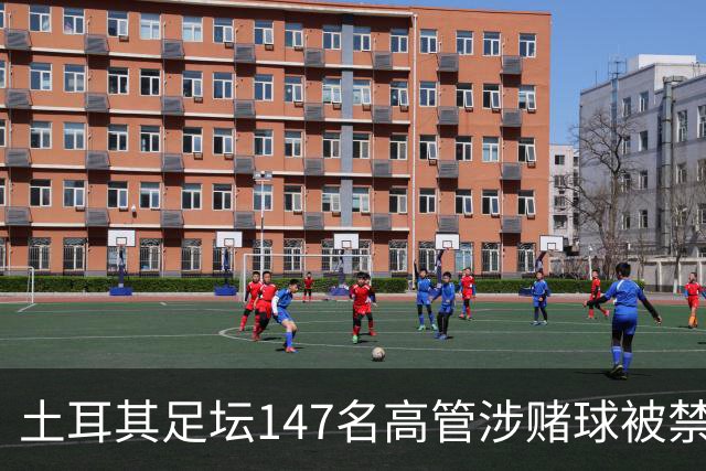 土耳其足坛147名高管涉赌球被禁赛45天，特拉布宗体育主席在列