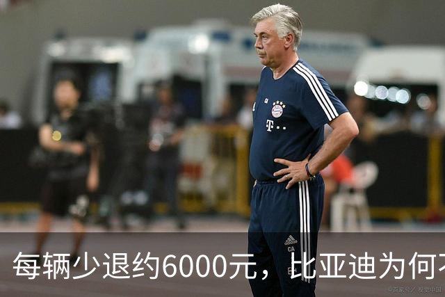 每辆少退约6000元，比亚迪为何不涨价？