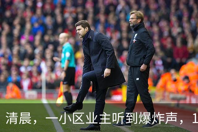 清晨，一小区业主听到爆炸声，11辆电动车、5辆自行车、1辆摩托车烧剩铁架，火灾原因公布