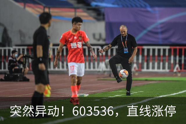 突然异动！603536，直线涨停